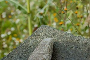 uma tradicional metate, simbolizando mexicano cozinha, descansos em uma de madeira superfície no meio da natureza texturas foto