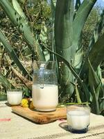 saborear a sabores do México com pulque, uma refrescante maguey beber foto