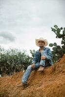 vaqueiro debaixo a grande céu, cercado de cactos, trabalhando em uma Fazenda foto