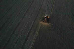 trigo colheita dentro a Argentino interior, la pampa província, Patagônia, Argentina. foto