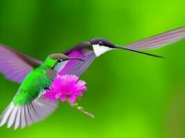 cantarolando pássaro verde vôo ai gerado foto