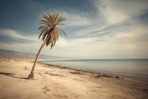 Palma árvore em a esvaziar de praia fotografia generativo ai foto