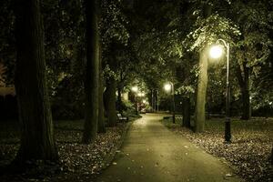 parque noite cenário foto