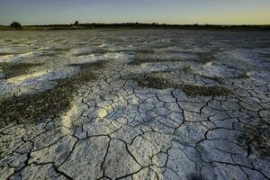 quebrado seco solo dentro uma pampas lagoa, la pampa província, Patagônia, Argentina. foto