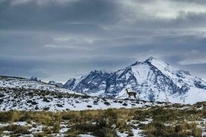 montanha panorama ambiente, torres del paine nacional parque, Patagônia, Chile. foto