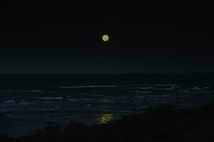 mar noite panorama e lua cheia , Península valdes, mundo herança site, patagônia Argentina foto