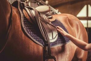 ajustando selim em a cavalo. equestre esporte tema. foto