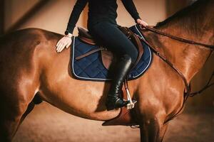 à moda equestre cavaleiro em uma cavalo dentro luxo Castanho couro equipamento foto