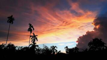 crio beleza do panorama Serra montanhas, betel Palma coco árvores, com azul céu misturar dourado laranja. a natural atmosfera tarde é brilhante e encantador dentro a interior. foto