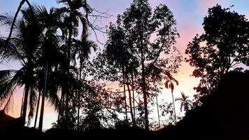 crio beleza do panorama Serra montanhas, betel Palma coco árvores, com azul céu misturar dourado laranja. a natural atmosfera tarde é brilhante e encantador dentro a interior. foto