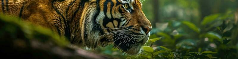 tigre dentro a floresta - generativo ai foto