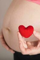 jovem grávida mulher mantém pequeno vermelho pelúcia coração fechar para dela barriga. foto