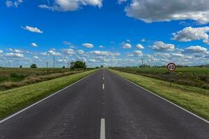 rota cruzando a pampas paisagem, argentina foto