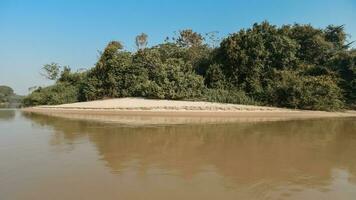 selva panorama em a cuiabá margem do rio, pantanal, brasil foto