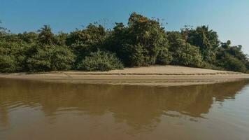 selva panorama em a cuiabá margem do rio, pantanal, brasil foto