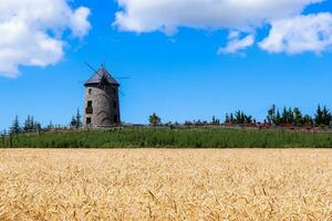 moinho de vento e azul céu. foto do moinho de vento com colheitas