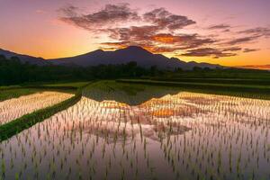 bela vista matinal indonésia panorama paisagem arrozais com cor de beleza e luz natural do céu foto