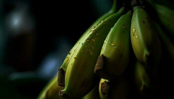 maduro banana monte, fresco e orgânico Comida gerado de ai foto