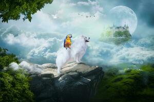 branco fofo cachorro japonês spitz simba e dele amigo papagaio andar em algum lugar dentro a universo foto