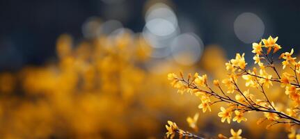 floração forsítia arbusto banhado dentro primavera luz do sol. ai gerado foto