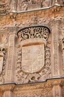 detalhe do a lindo fachada do a histórico construção do a universidade do salamanca foto