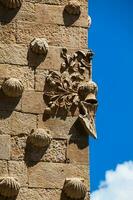 detalhe do decorações em a fachada do a histórico casa do a cartuchos construído dentro 1517 de Rodrigo árias de maldonado cavaleiro do a ordem do santiago de compostela dentro salamanca, Espanha foto