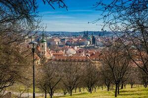 Praga cidade visto a partir de a Petrin jardins em uma ensolarado dia às a começando do Primavera foto