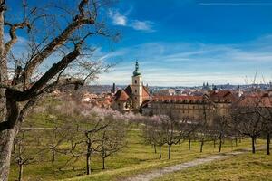 Praga cidade visto a partir de a Petrin jardins às a começando do Primavera foto