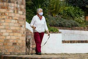 Senior mulher vestindo uma casa fez face mascarar e tendo uma curto andar ao ar livre com dela animal durante a coronavírus quarentena desescalada foto