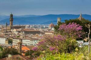 Visão do a lindo cidade do Florença a partir de a giardino delle rosa dentro a cedo Primavera dia foto