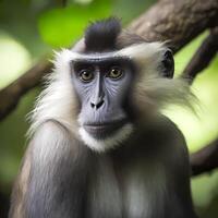 mangabey macaco às chuva floresta ai generativo foto
