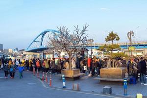 Seul, Coreia, 02 de janeiro de 2016 - visitantes fizeram fila para pegar uma balsa foto