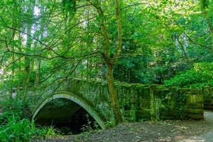 velha ponte de pedra sobre o riacho em desmond dene park, newcastle, reino unido foto