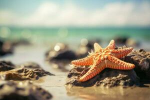 mar Estrela de praia. gerar ai foto