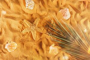 fundo do estrelas do mar e cartuchos em a dourado de praia foto