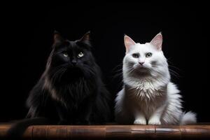 ai generativo dois Preto e branco gatos sentado juntos foto