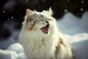 gato bateu de bola de neve. fofa gatinho com surpreso e Bravo face, bater de neve durante neve lutar. gerado ai. foto