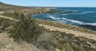 costeiro paisagem marítima, Patagônia, Argentina foto