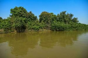 rio panorama e selva, pantanal, Brasil foto