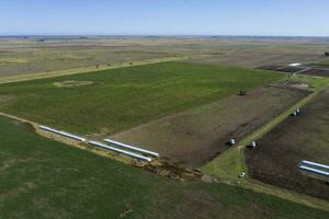 silo bolsa, grão armazenamento dentro la pampa, Argentina foto