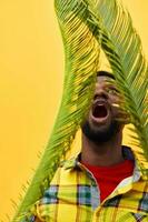 homem feliz árvore tropical Preto à moda americano moda Palma modelo africano amarelo Diversão foto
