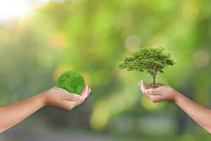 mãos segurando terra globo e árvore sobre verde natureza fundo. salvando mundo ecologia conceito foto