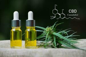 cbd canabidiol Fórmula, cannabis erva e folhas com óleo extratos dentro frascos. médico conceito, cbd óleo cânhamo produtos. foto