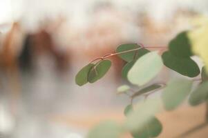 pano de fundo de casamento com flores e decoração de casamento foto