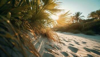 tranquilo pôr do sol em tropical litoral, Palma árvores balançar dentro brisa gerado de ai foto