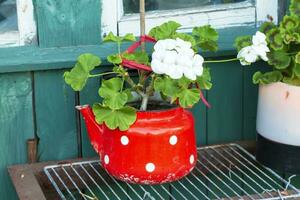 vermelho chaleira com branco polca pontos com branco gerânios em uma de madeira parede fundo. a exemplo do a reciclando do família Unid. foto