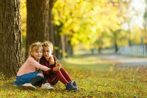 dois pequeno menina amigos estudante dentro a parque. foto