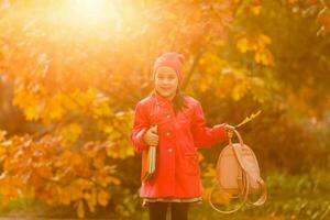 retrato do uma fofa pequeno menina posando às a outono parque. foto
