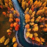 colorida outono floresta e velozes rio. aéreo zangão topo visualizar. ai gerado foto