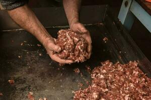 mãos cozinhar, picado carne, linguiça tradicional preparação, pampas, Argentina foto